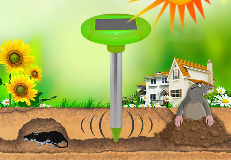 detektor matahari untuk tahi lalat dan hewan pengerat
