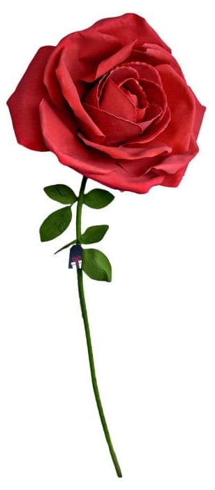 Mawar besar XXL - Bunga mawar sebagai hadiah untuk seorang wanita