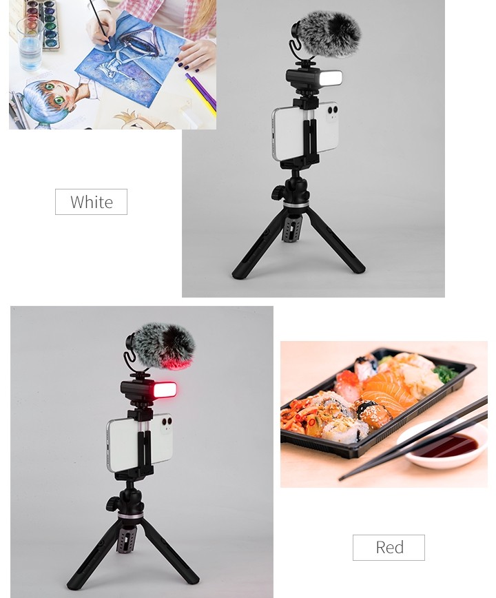 tripod untuk ponsel (tempat selfie) + mikrofon dan lampu