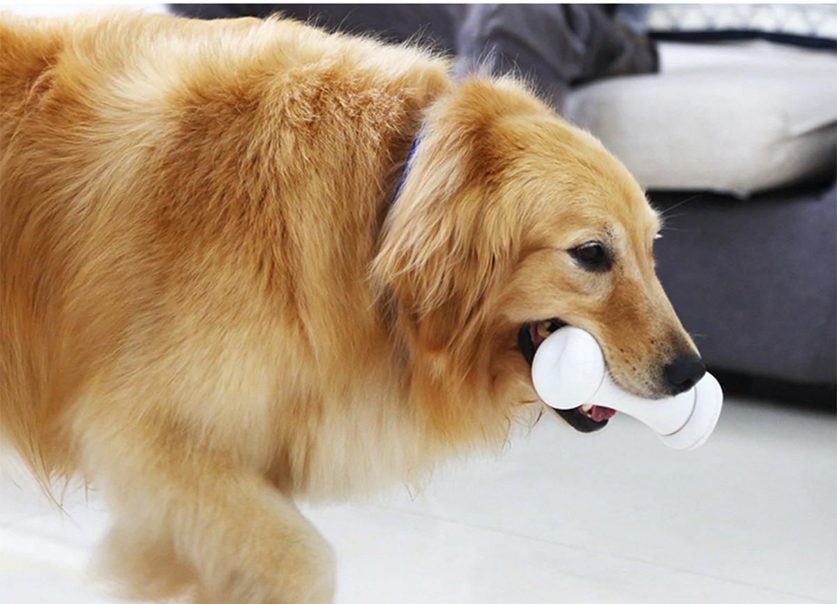 mainan tulang pintar untuk anjing tulang jahat